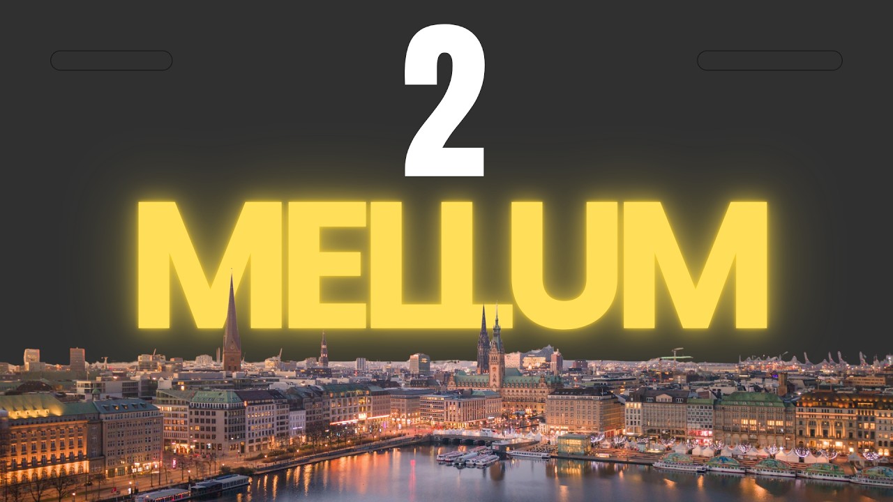 Mellum 2: новая модель для программирования от JetBrains &mdash; локальный запуск с vLLM и инструментам...