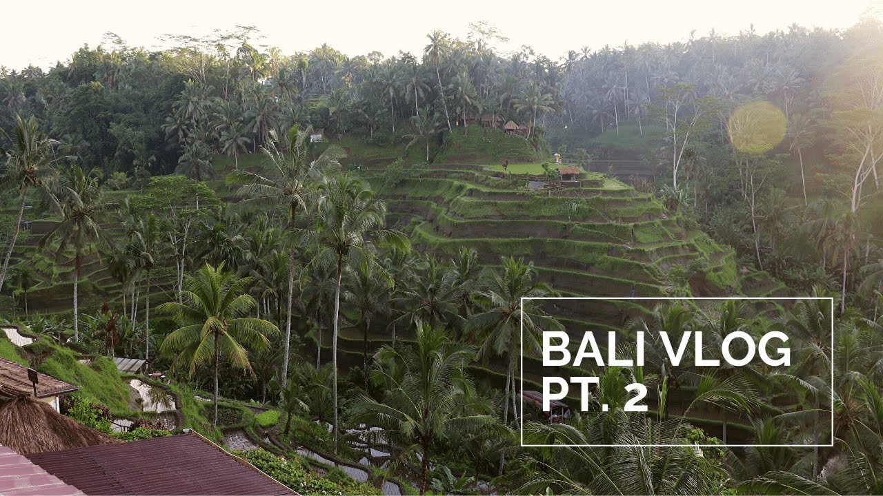 🌱 bali, indonesia vlog (pt.2) | beautiful green rice terraces & bali swing