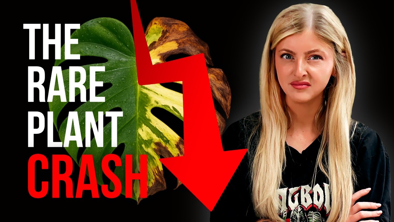 What REALLY Happened To Rare Plants.