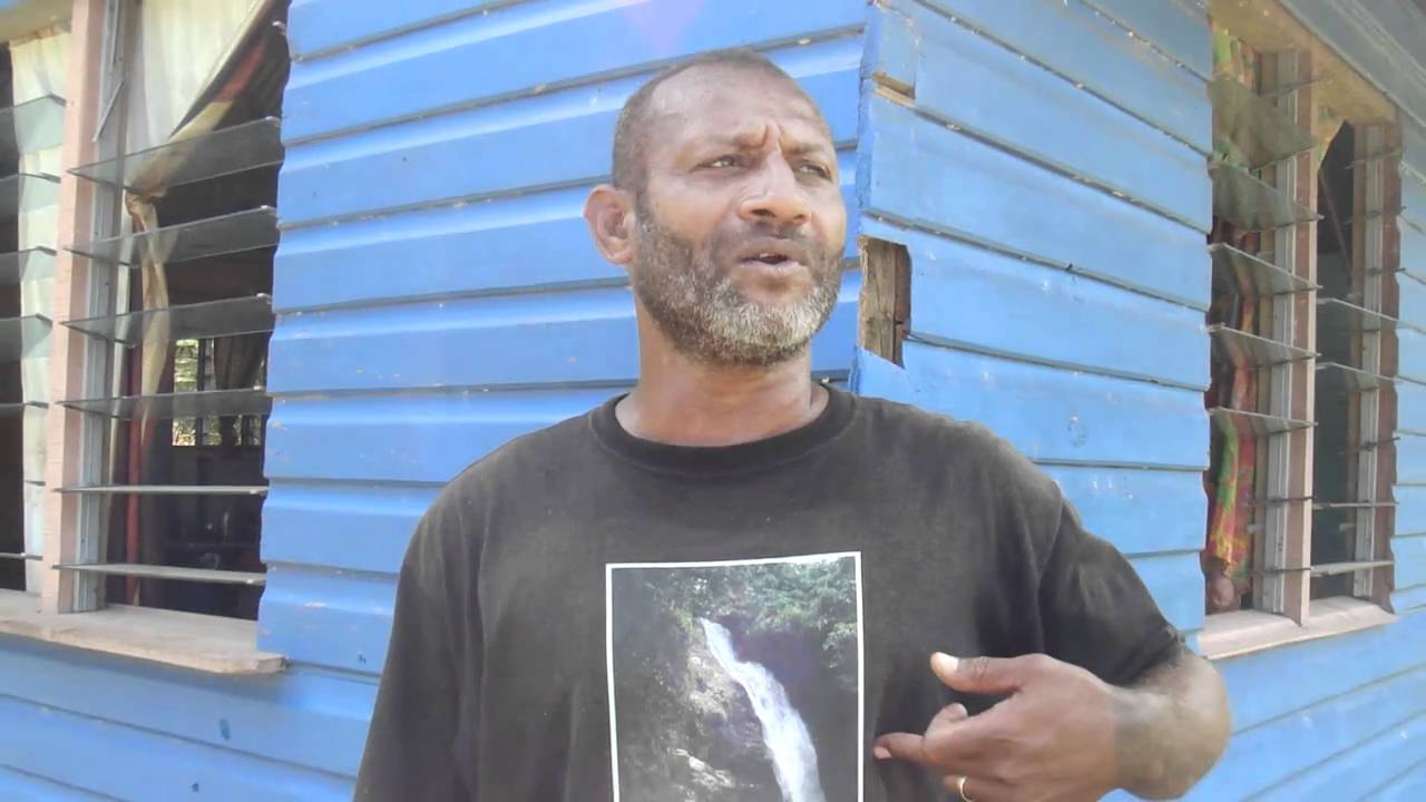 Fiji Waterfall tour with Boro