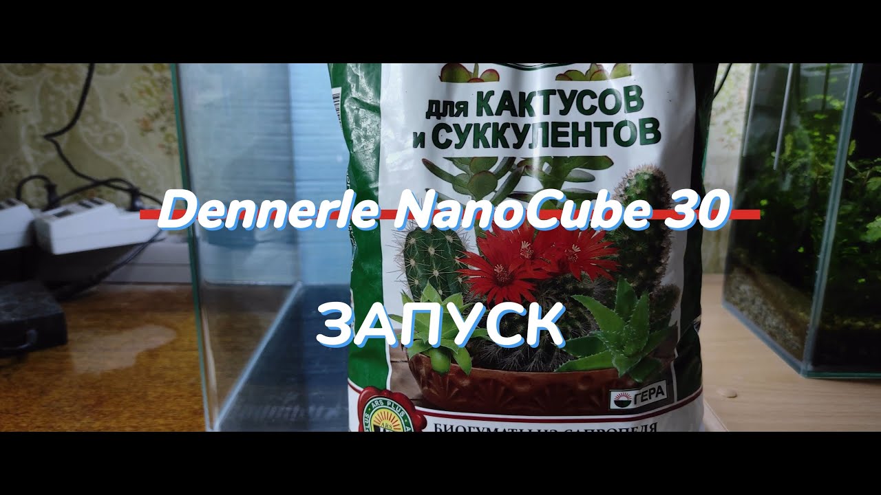 Аквариум Dennerle NanoCube 30. Запуск.