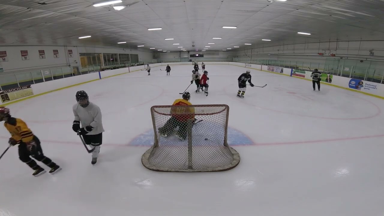 GP020734 Goulding Park Shinny Pandas shooting 23 Jan 2025 Part 3/7