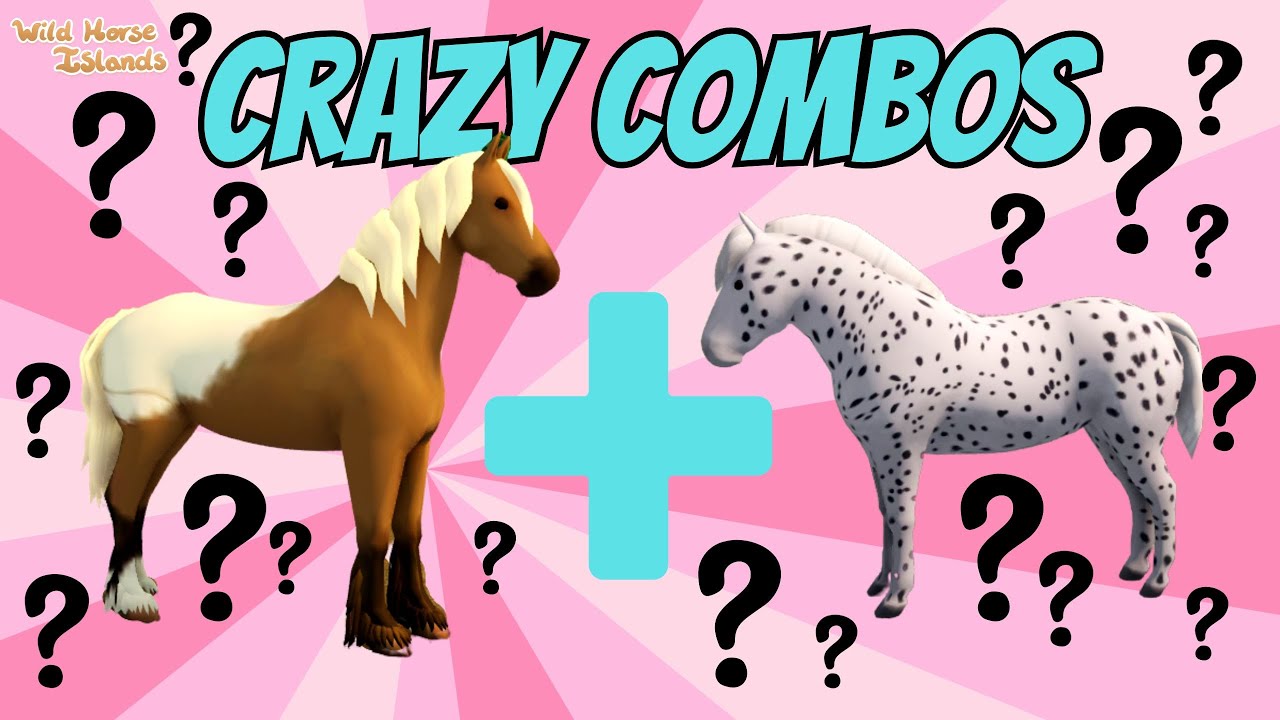 CRAZY COMBOS = AMAZING NEW FOALS! BREEDING ON WILD HORSE ISLANDS!