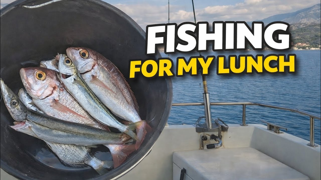 Fishing for My Lunch | Raw, Unedited & Relaxing Boat Fishing Footage