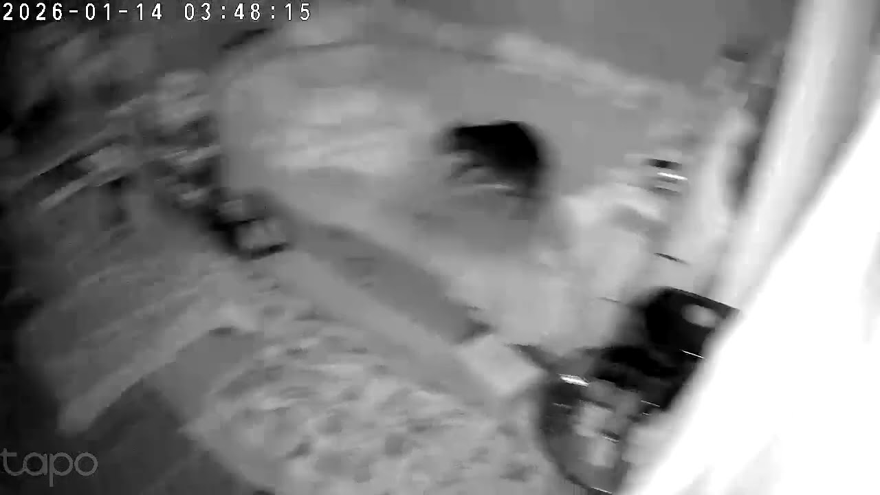 Things that go bump in the night part 3