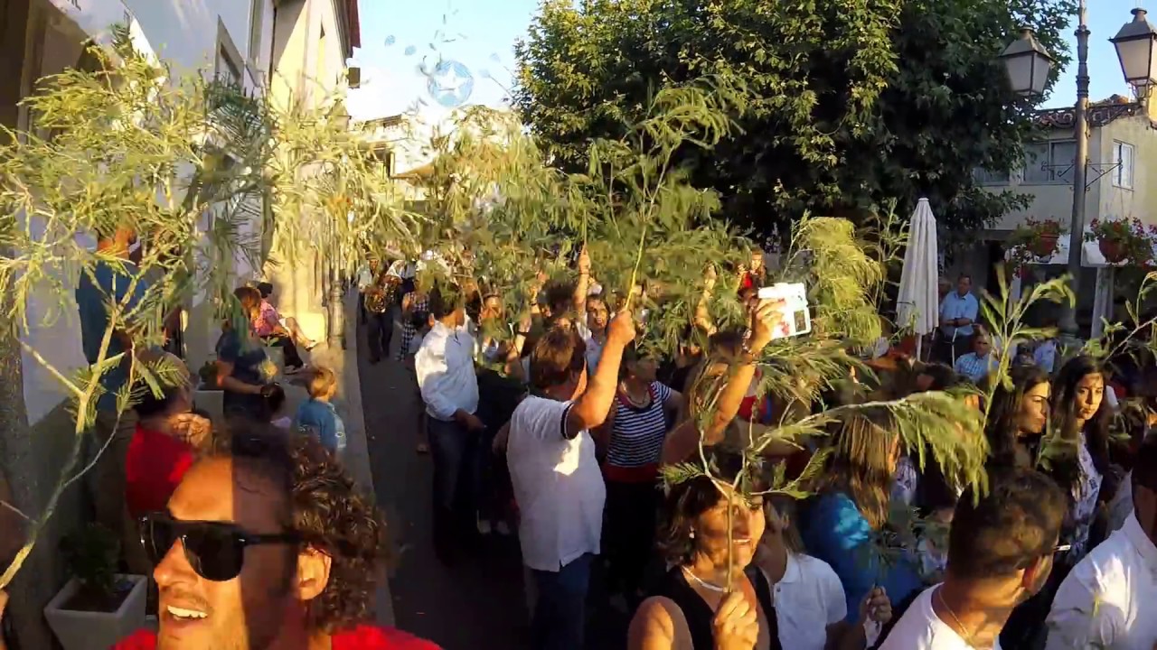 Guiaes prossiçao das mimosas 2017