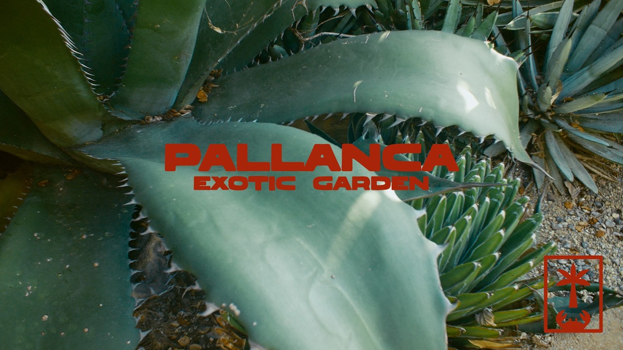 Pallanca Exotic Garden | Part 2/3 🌵