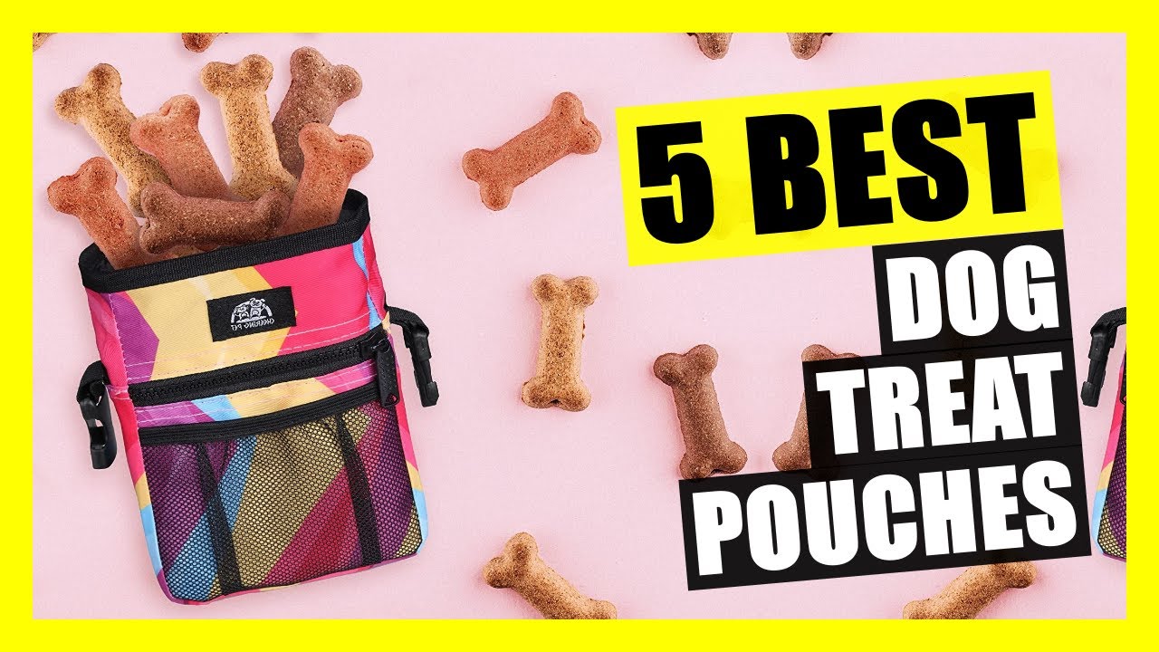 TOP 5: Best Dog Treat Pouch for Training 2023