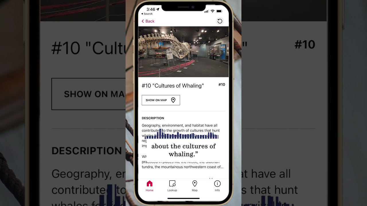 New Bedford Whaling Museum Digital Guide #shorts