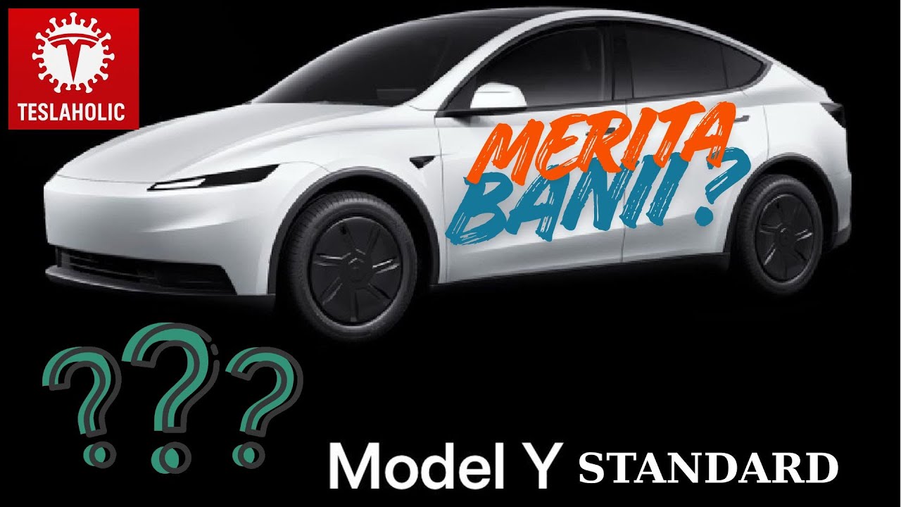 Model y #standard  | cu plusuri si minusuri