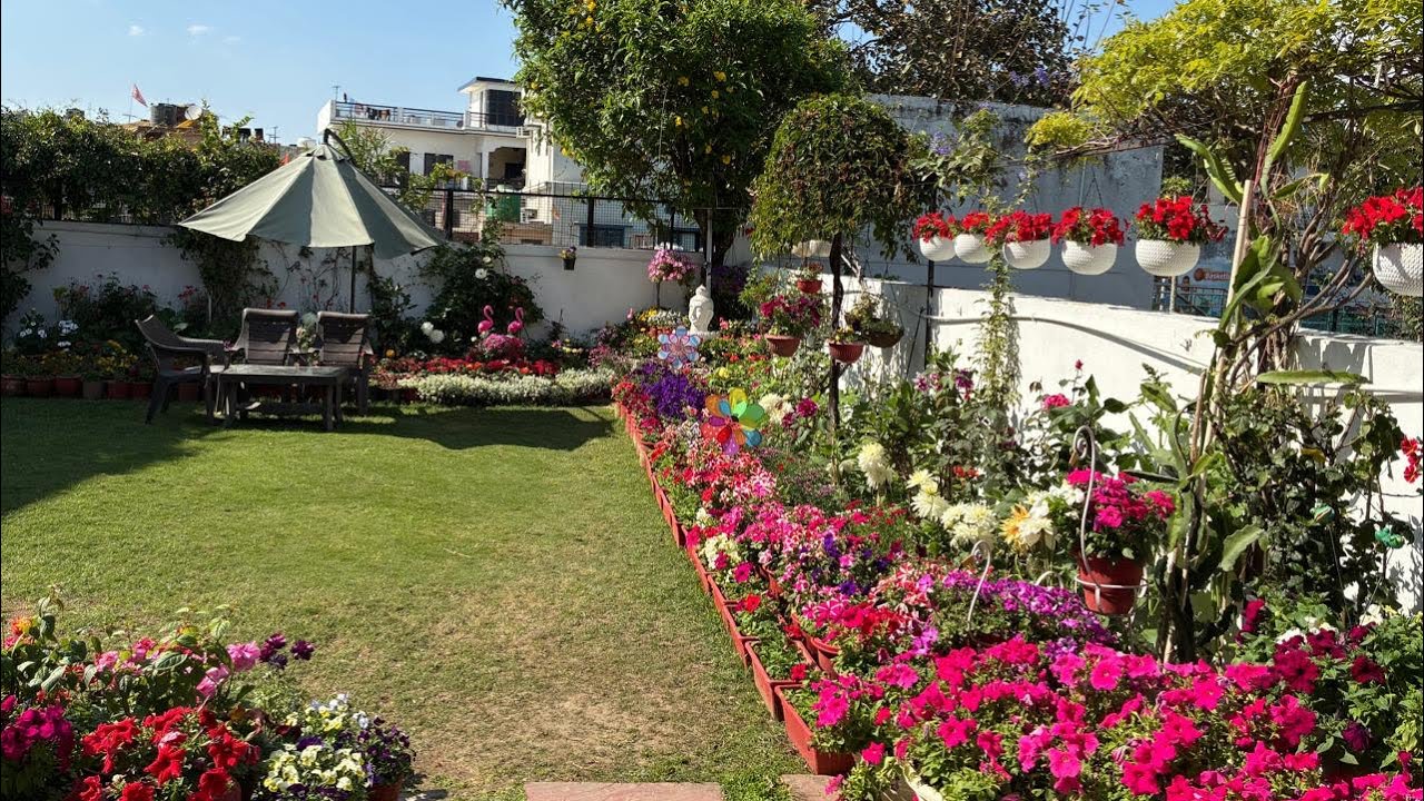 My Friend's Garden Overview ❤️Gardening with Nidhi🪴
