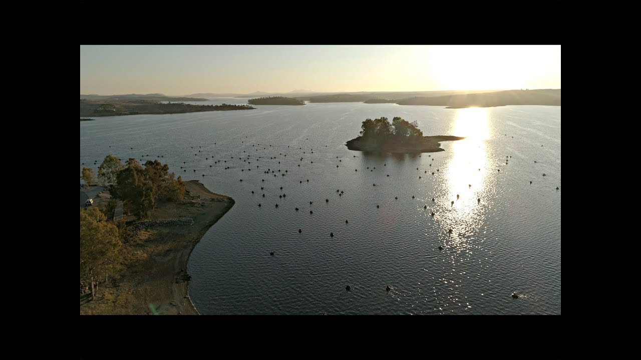 Embalse de Orellana Open de Lucio XIV Edicion desde Pato, Catamaran y Kayak
