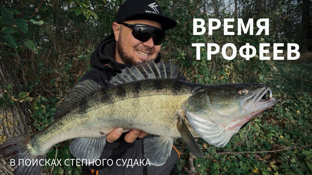 Трофейный судак на степной реке! Обрыбил Norstream Experience EXS-802ML