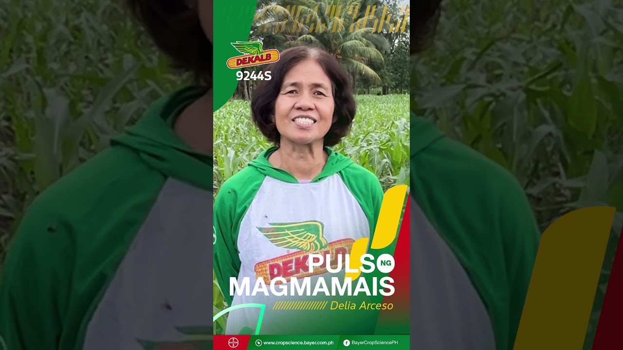Puslo Ng Magmamais - Delia Arceso