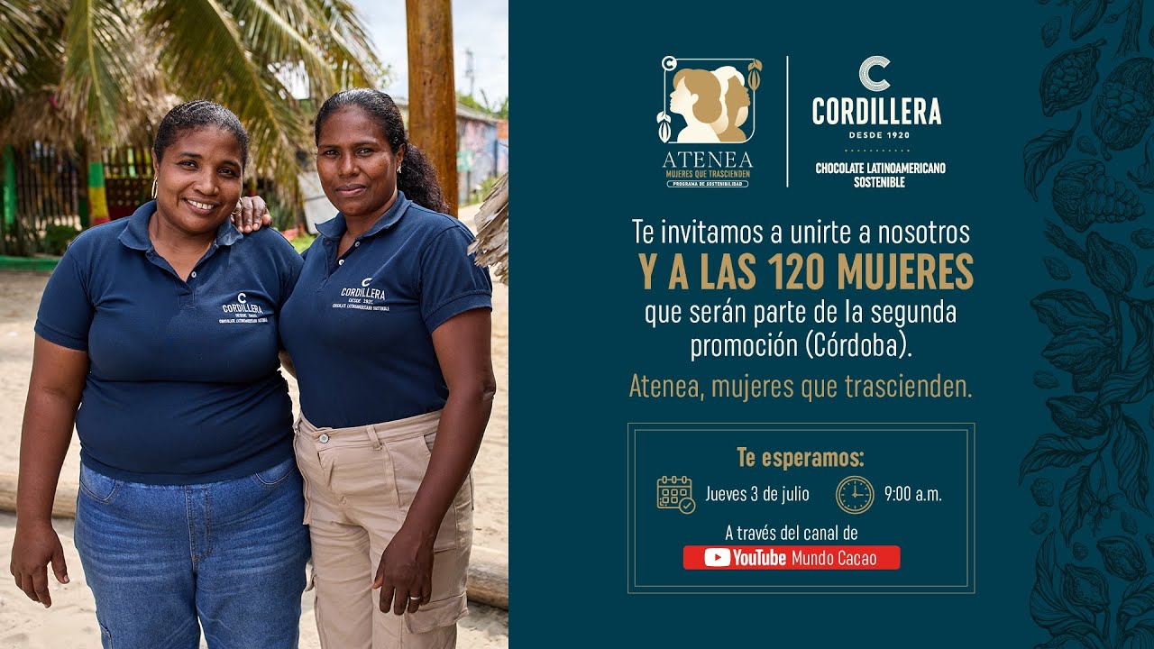 Lanzamiento 