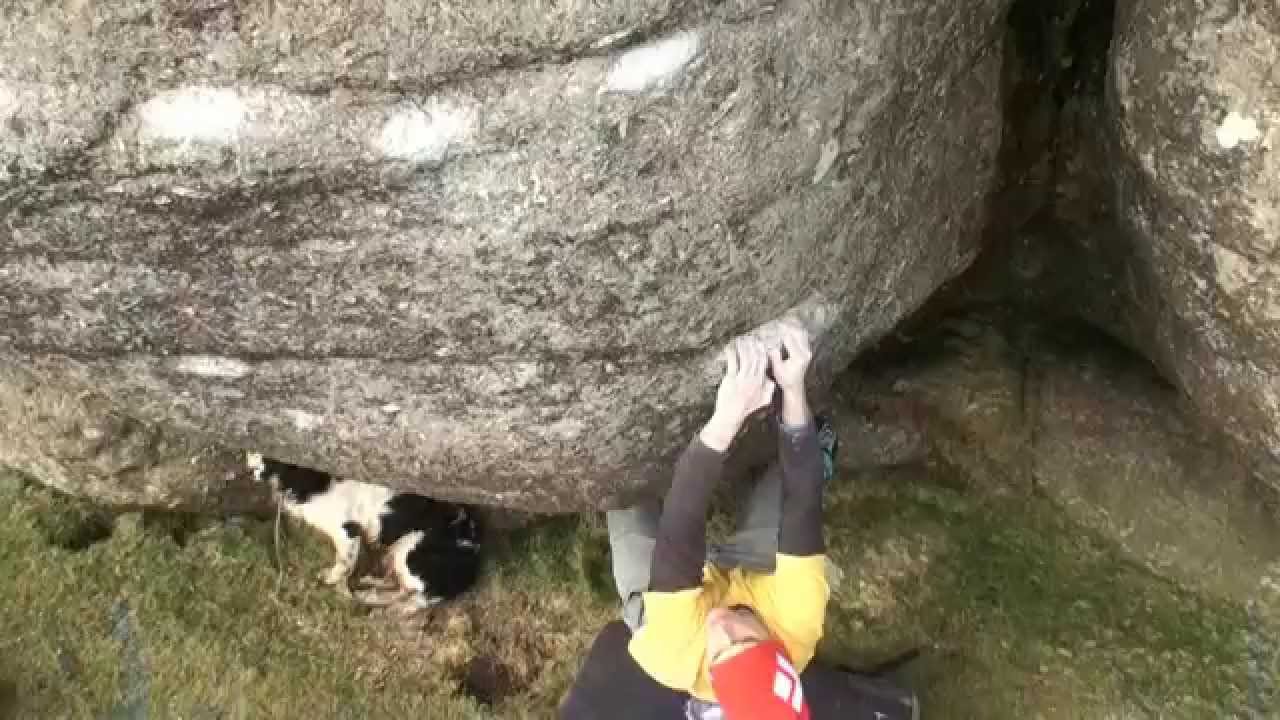Mikey Cleverdon on Foals Chopper Sit - f7C