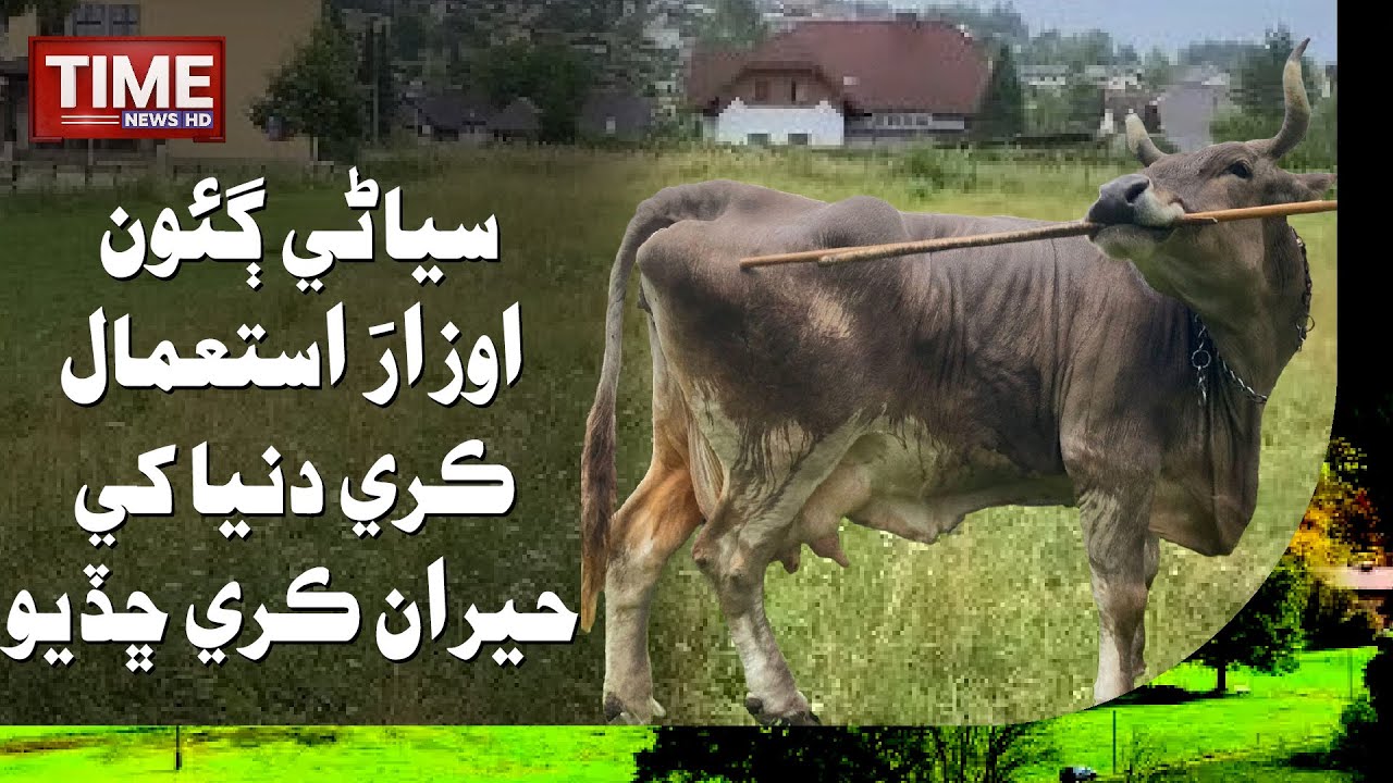 Siyani Gaun, Auzar Istemal Kare Dunya Khe Hairan Kare Chhadyo