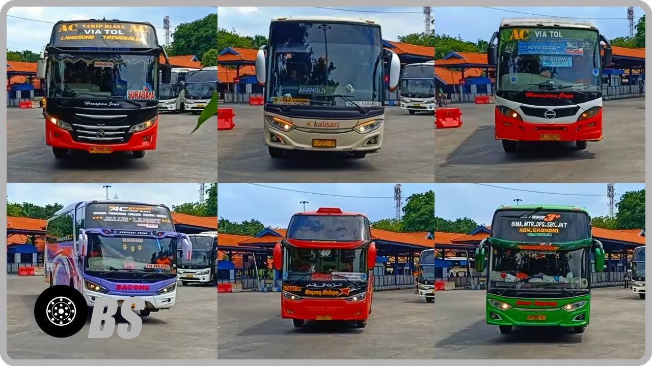 Bus Activity: A Slightly Quiet Friday Midday Arrivals