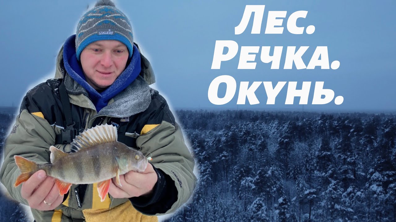 Где КЛЮЁТ Окунь? Наловили Окуня в ЛЕСУ на Мормышку!Таёжная речка Сибири ХМАО. Ice Fishing ❄️❄️❄️