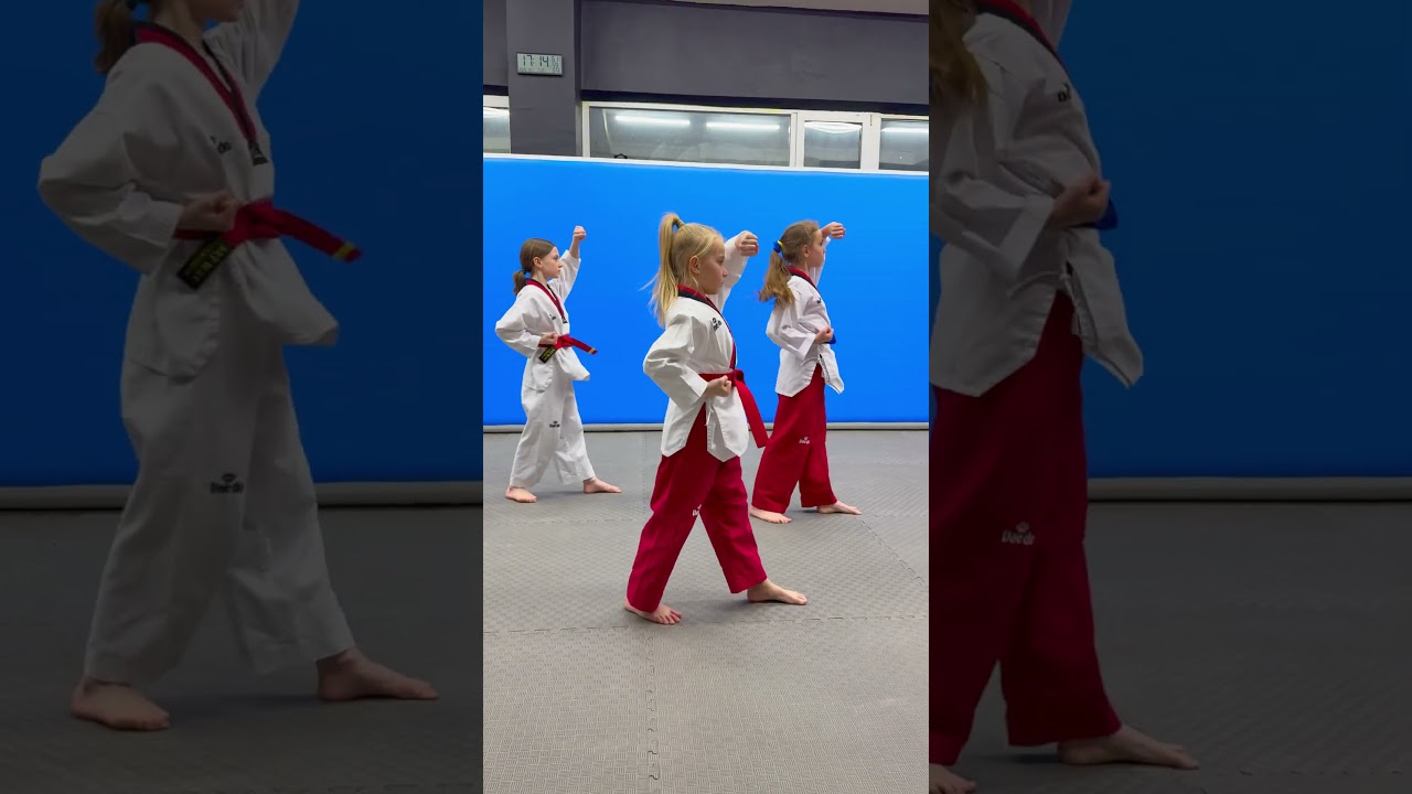 Poomsae 1 / TAEGEUK 1JANG #taekwondo #poomsae #kicks