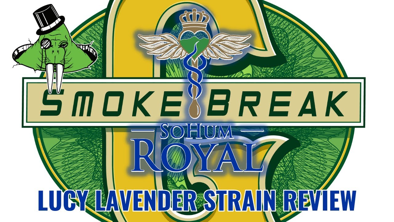 Sohum Royal Humboldt County Lucy Lavender Strain Review.