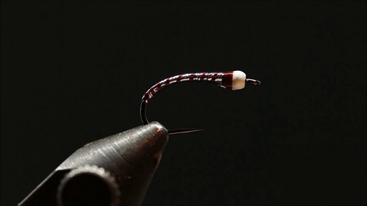 Blue Steel Chromie | One Minute Fly Tying Video | Interior Fly Fishing Co.