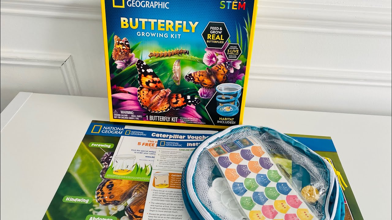 This butterfly growing kit was so cool! #ad 