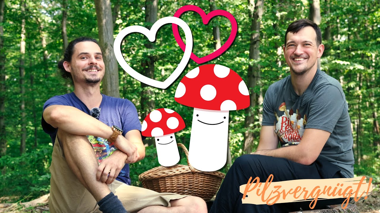 Haben Pilze Sex? Wie vermehren sich Steinpilz, Pfifferling & Co.? 🤓