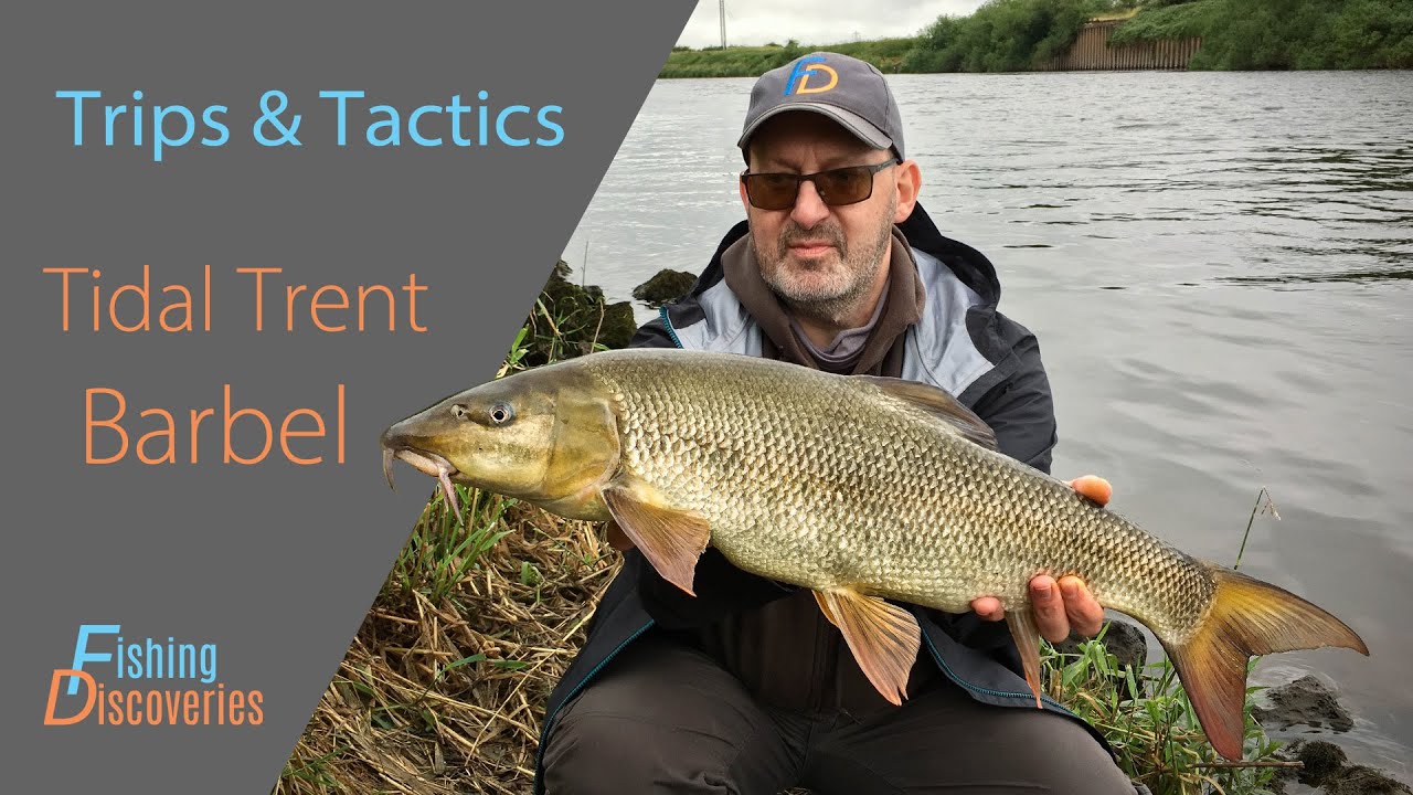 River Trent Barbel Fishing: Can you Catch a DAYTIME Barbel in the Tidal Trent??