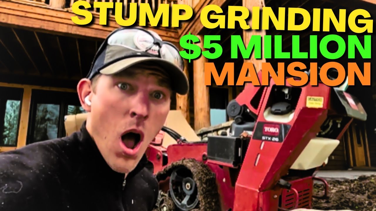 GRINDING STUMPS NEXT TO A $5M MANSION!