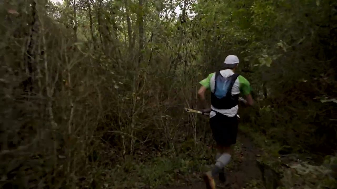 Nike Pegasus Trail 5 vs Salomon Sense Ride 5
