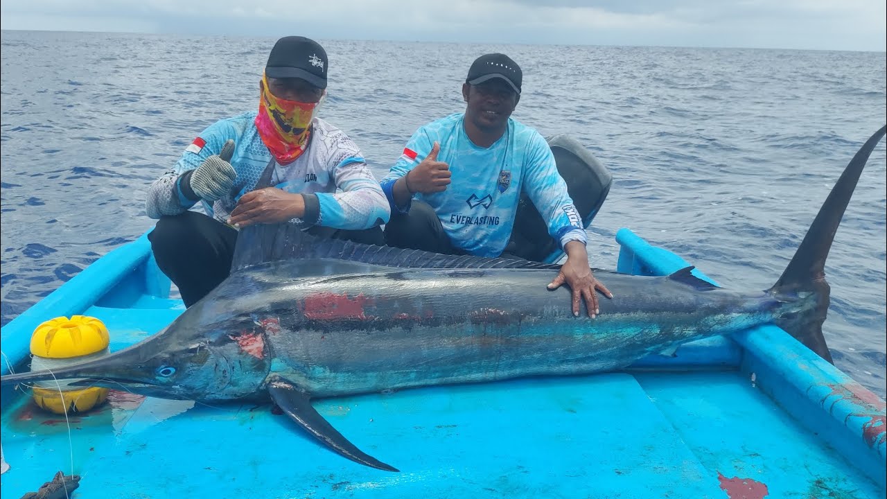 MONSTER BLACK MARLIN 109 KG|| STARLON BRAND PERLON TERBUKTI KUAT MENAKLUKAN MONSTER|| PART 3