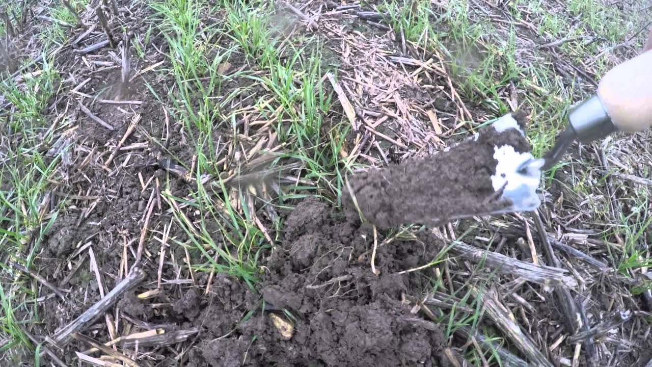 Sumo DD3 Comparison and Slug Pellets Efficacy