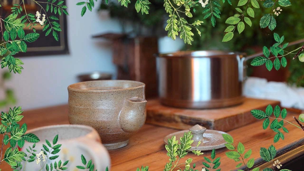 Pine Needle Tea | Wild Foraged Tea
