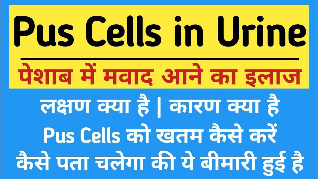 Pus Cells in Urine in Hindi | Symptoms, causes, treatment, what to eat for pus in urine | Elimina...