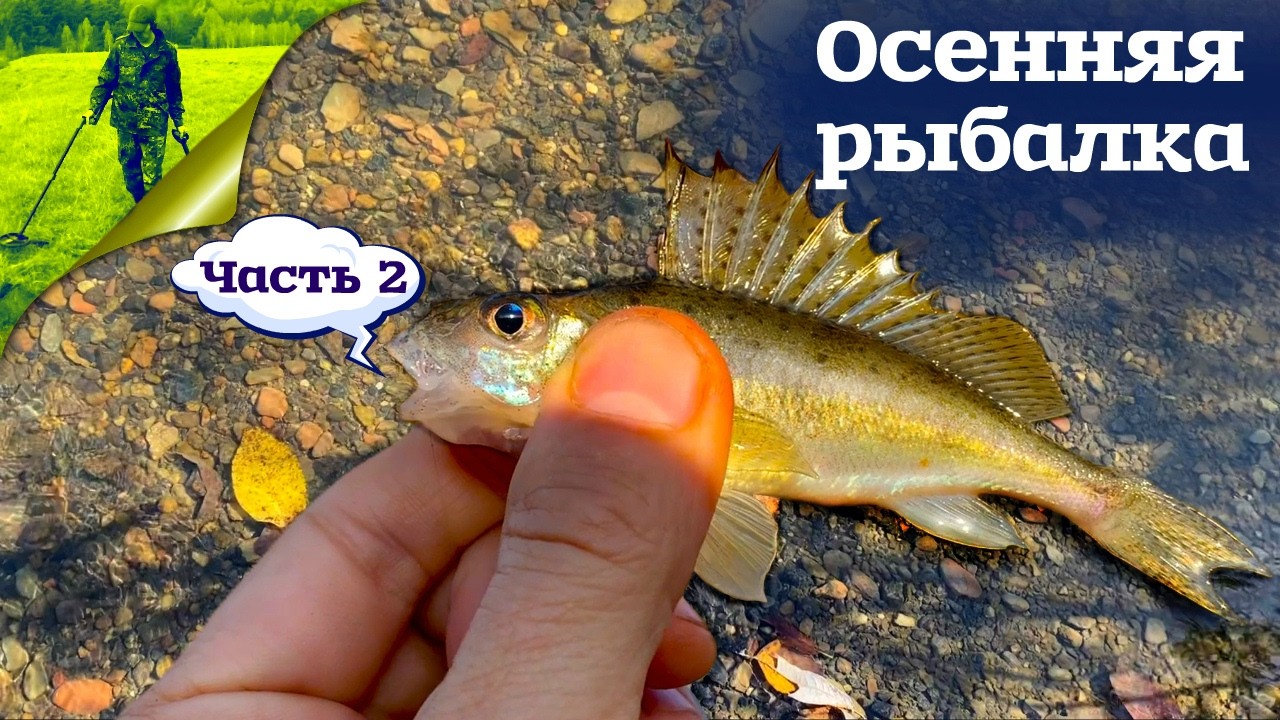 Осенняя рыбалка часть 2