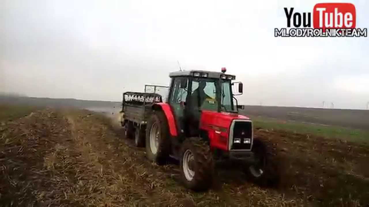 MF 6150 I MF 255 AKCJA OBORNIK 2015