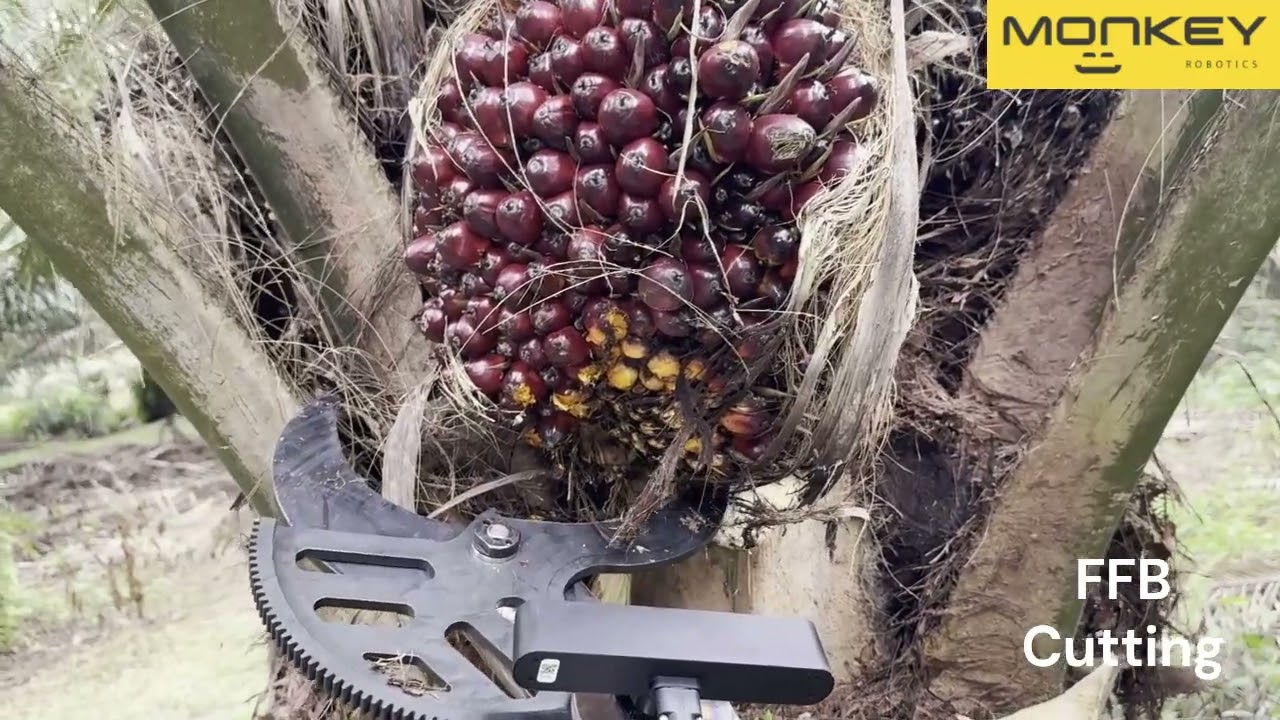 Monkey Robotics - Fully Autonomous Oil Palm Harvesting Technology