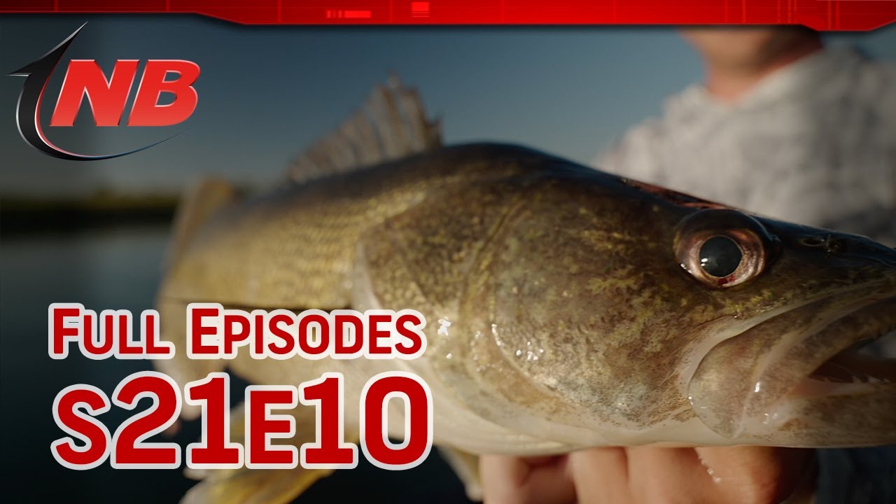 Season 21 Episode 10: Big Walleyes on Small North Dakota Lakes