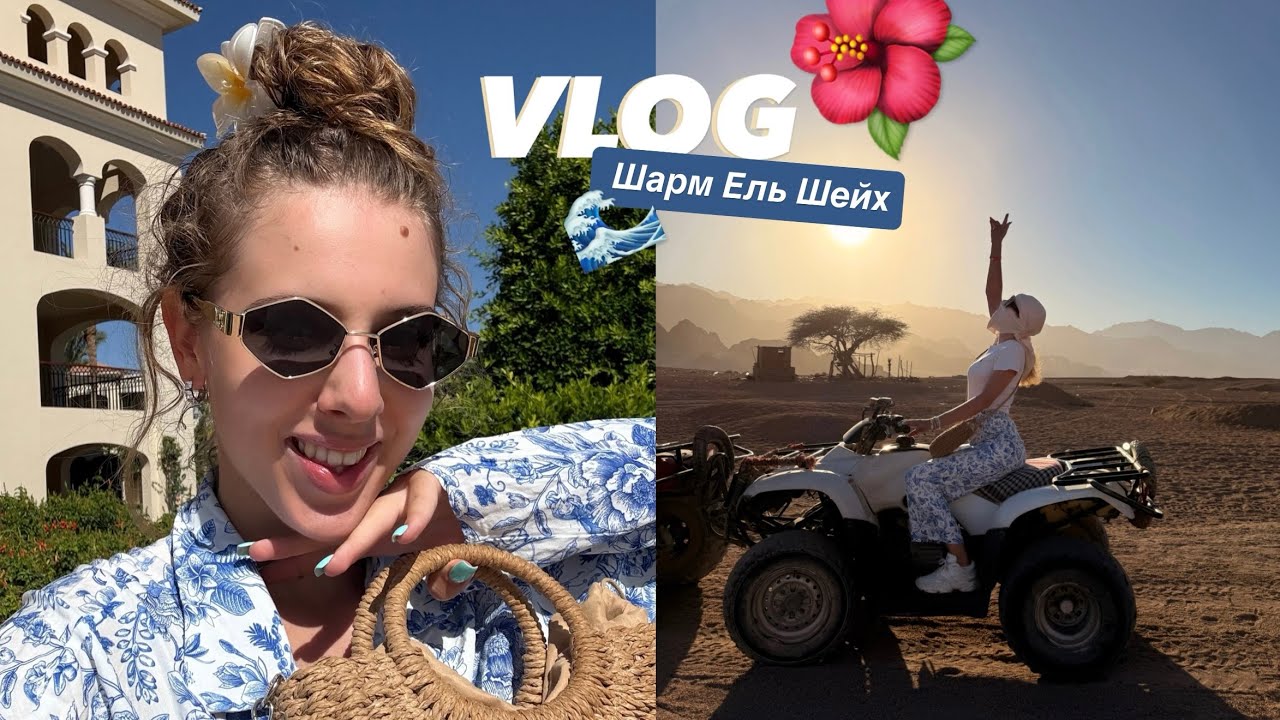 VLOG | відпустка в Єгипті в Sharm El Sheikh | Jaz mirabel beach resort ✨ 