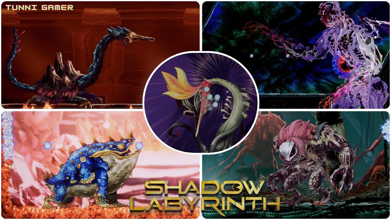 ALL BOSSES & ENDING WITH CUT SCENES | SHADOW LABYRINTH 