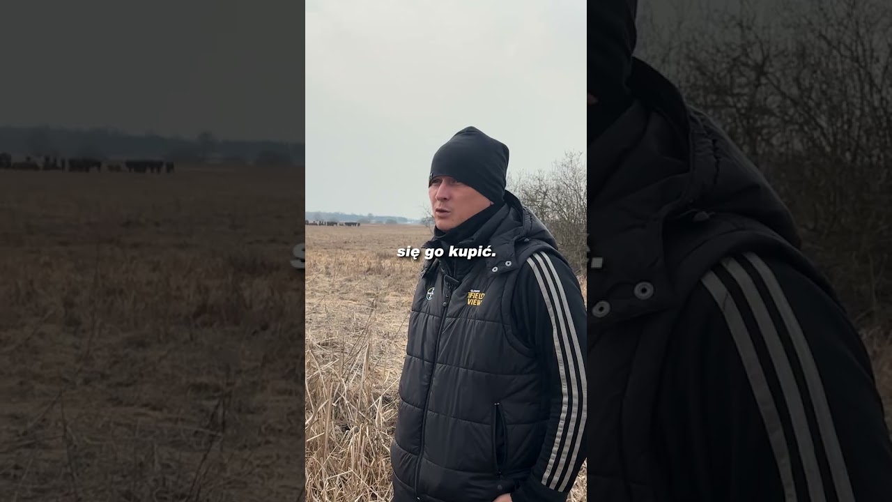 Ochrona upraw przed żubrami - płoszenie przy użyciu Strażnika P&oacute;l