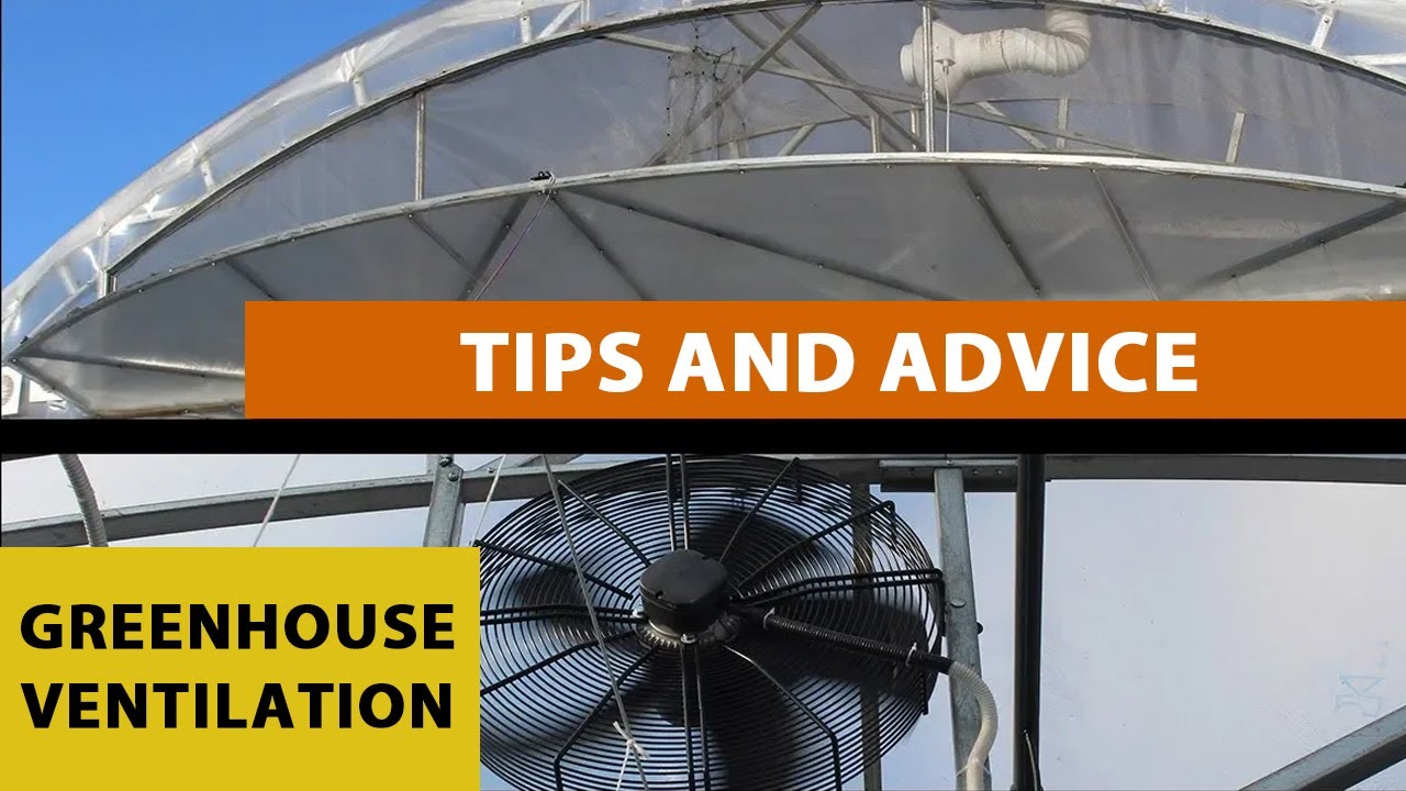 All the Secrets and Subtleties of Ventilation in a Greenhouse