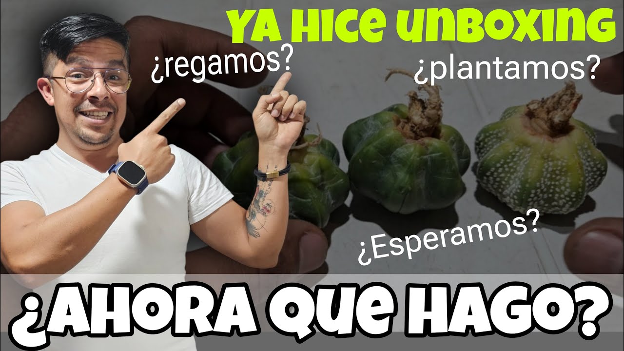 Mis plantas ya llegaron... ¿Y ahora qué?
