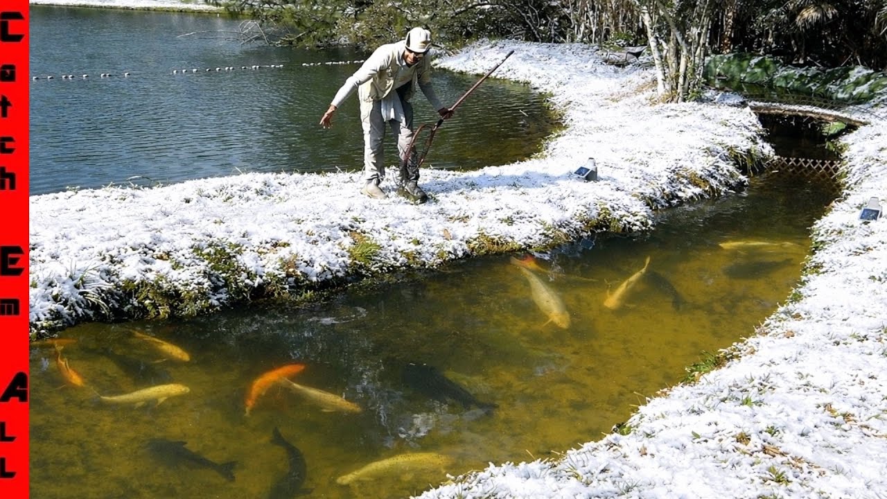 My EXOTIC PET FISH POND is getting FROZEN OVER by the FREEZE! **One Last Look**
