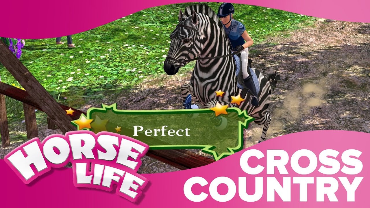 European Cross Country | Horse Life 2 Competitions 🏆