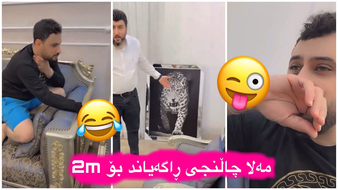مەلاقاتیل😂شێری لەماڵ مەلایە سەرۆ ئەڕوا بۆلای😢😂