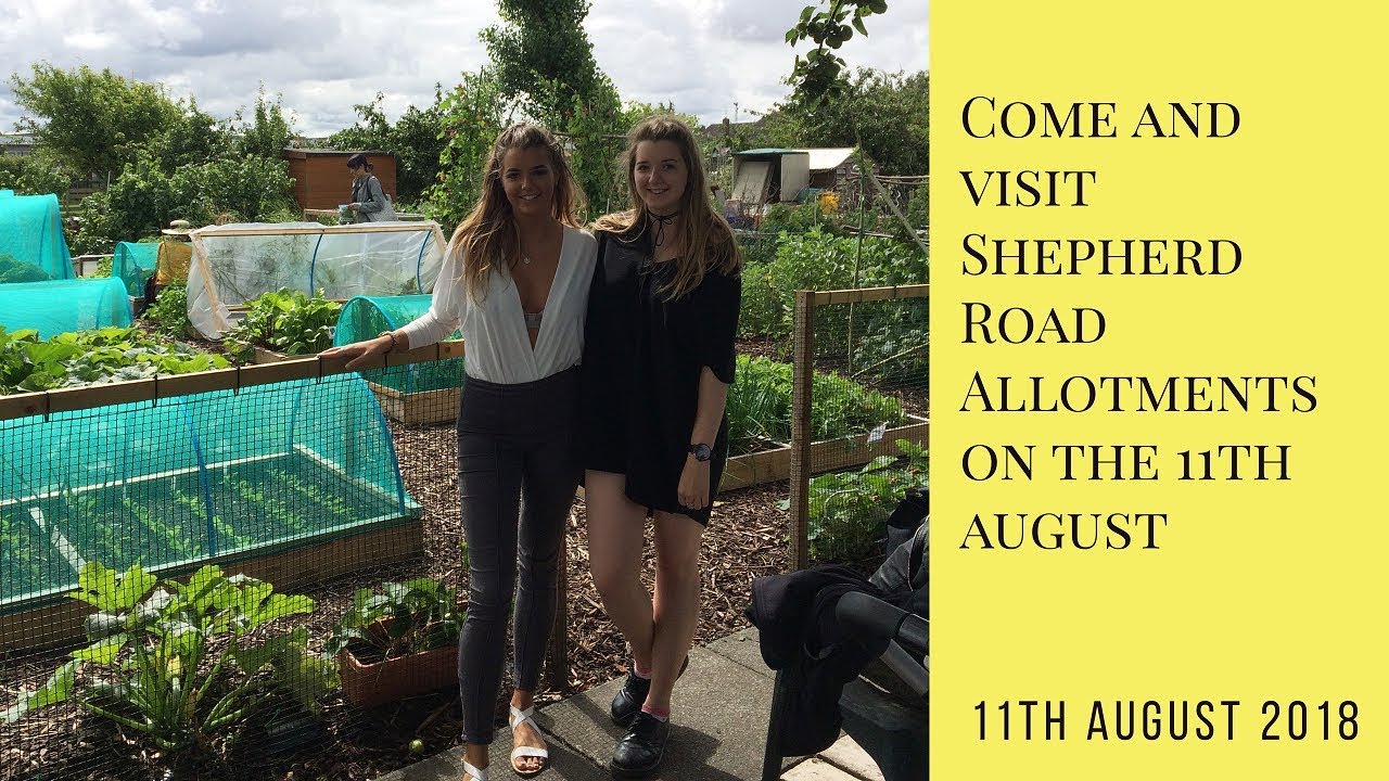 Come and visit our allotment site on the 11th of August