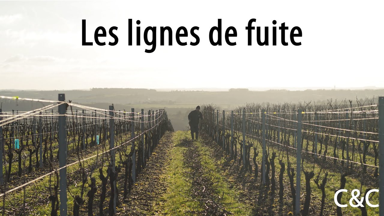 Les lignes de fuite en photographie, Cadres & Compositions