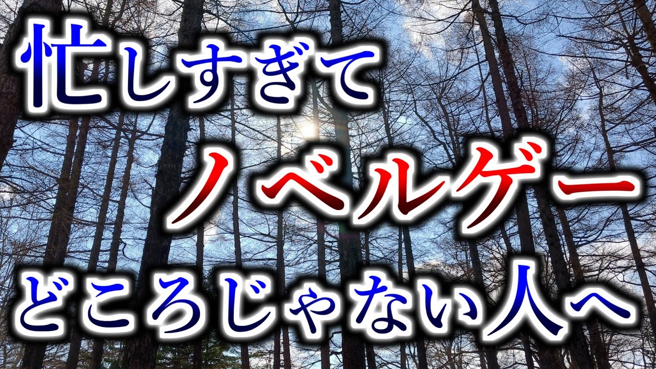忙しすぎてビジュアルノベルやらなくなってきた人へ
